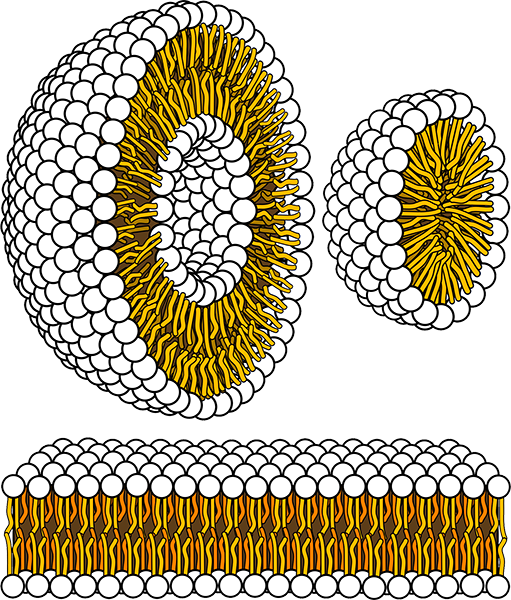 Einstein Endocrinology Associates Reviews